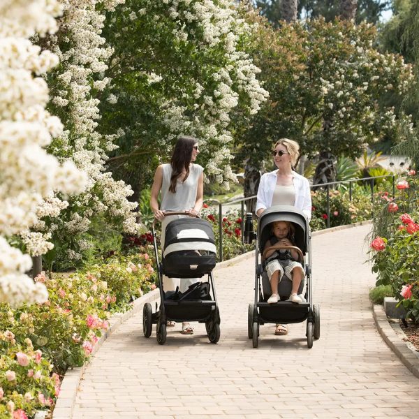 Nuna Mixx Next Stroller - Cedar