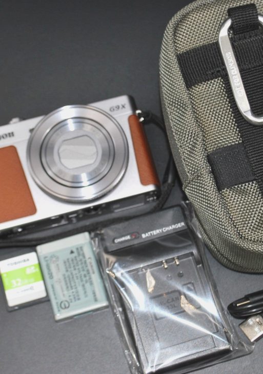 Canon PowerShot G9 X Mark II Compact Digital Camera Silver Brown